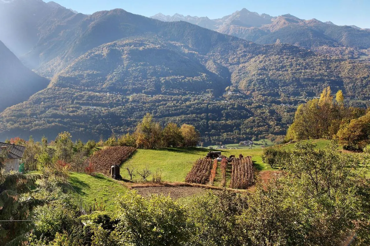 Vakantiehuis Casa Placida Teglio Italië